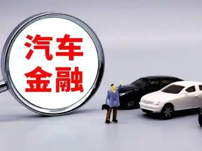 定兴押车贷款不是本人可以么?